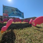 CASA of Southern Oklahoma - Get Flocked Awareness Campaign